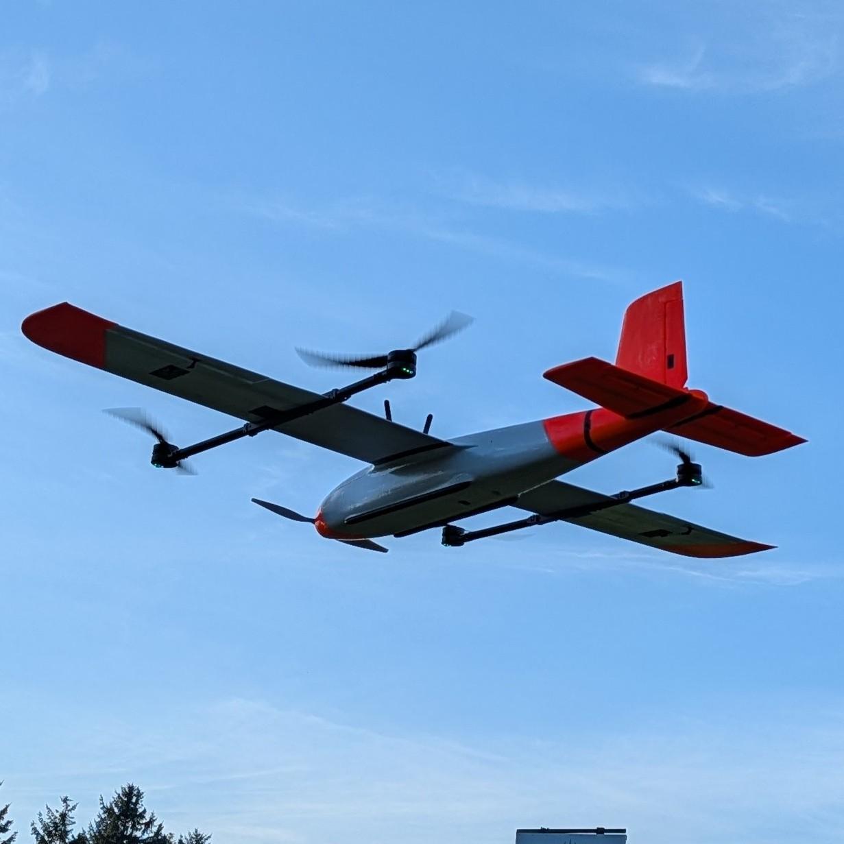 Albatross